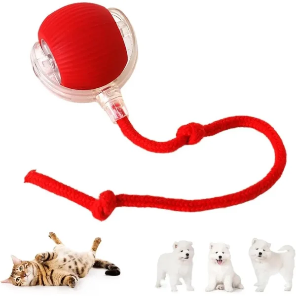 Interactive Cat & Dog Toy Roller Ball.