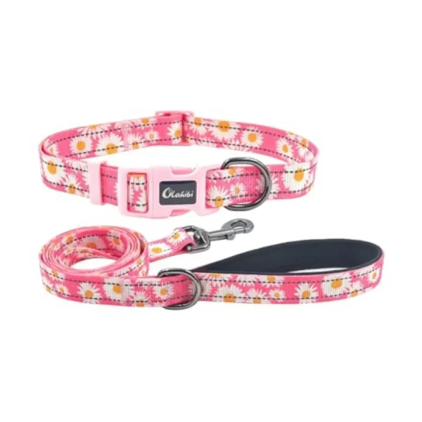 Dog Collar Leash Set